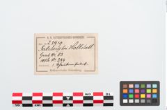 Etiketten zu Bronzescheibenfibel (NHMW-PRAE-023919)